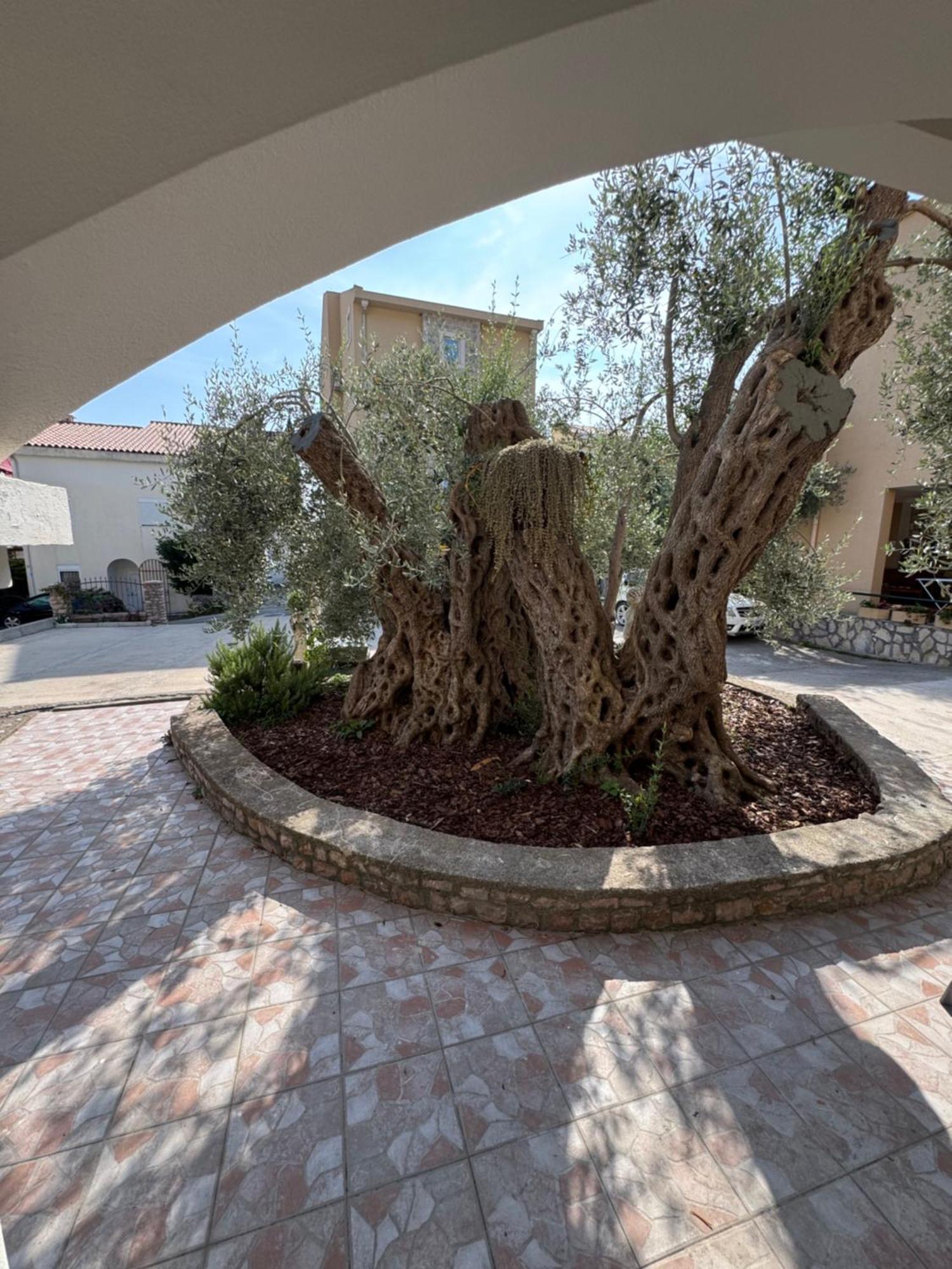 Private Patio Przno Steps To Beach 2 Bedroom 2 Parkings Bbq Villa Olive Appartamento *